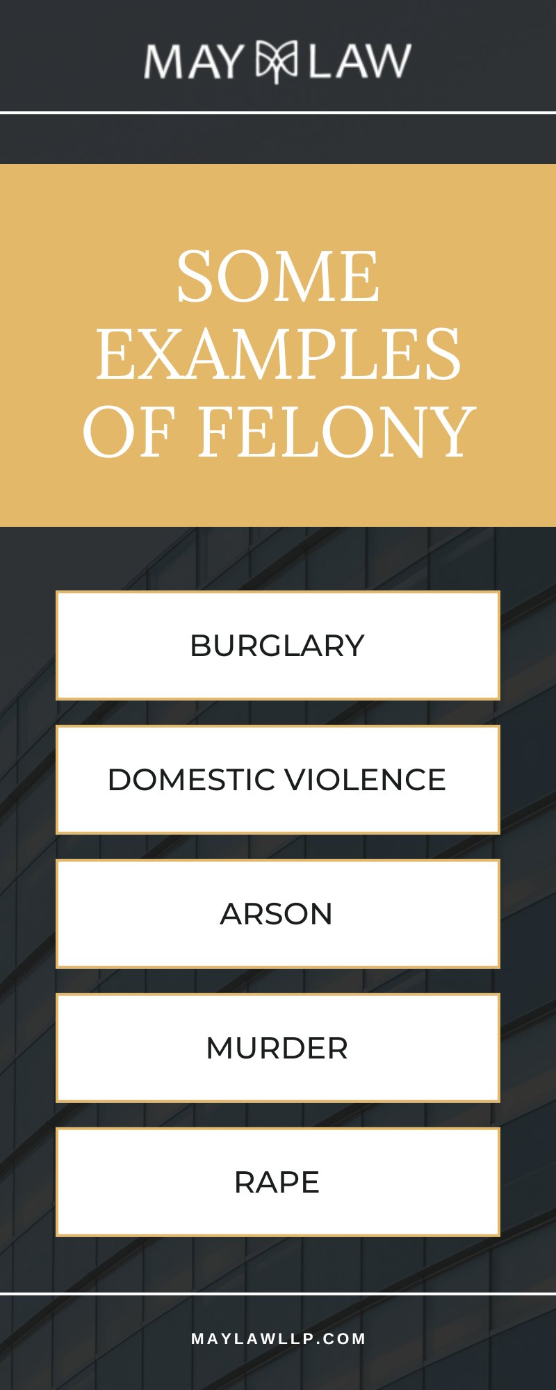 Some Examples of Felony Infographic